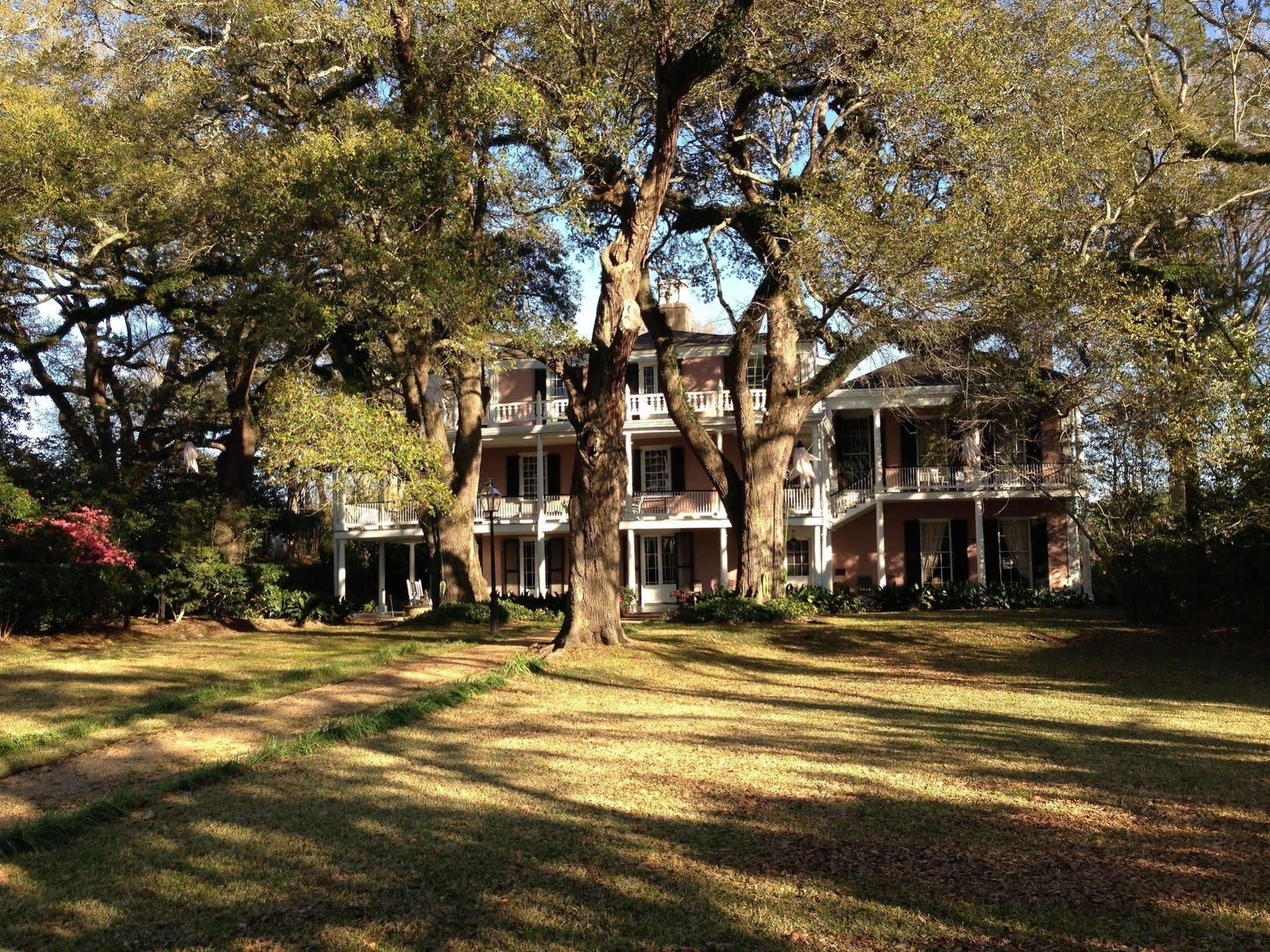 The Elms Bed And Breakfast ナチェズ エクステリア 写真