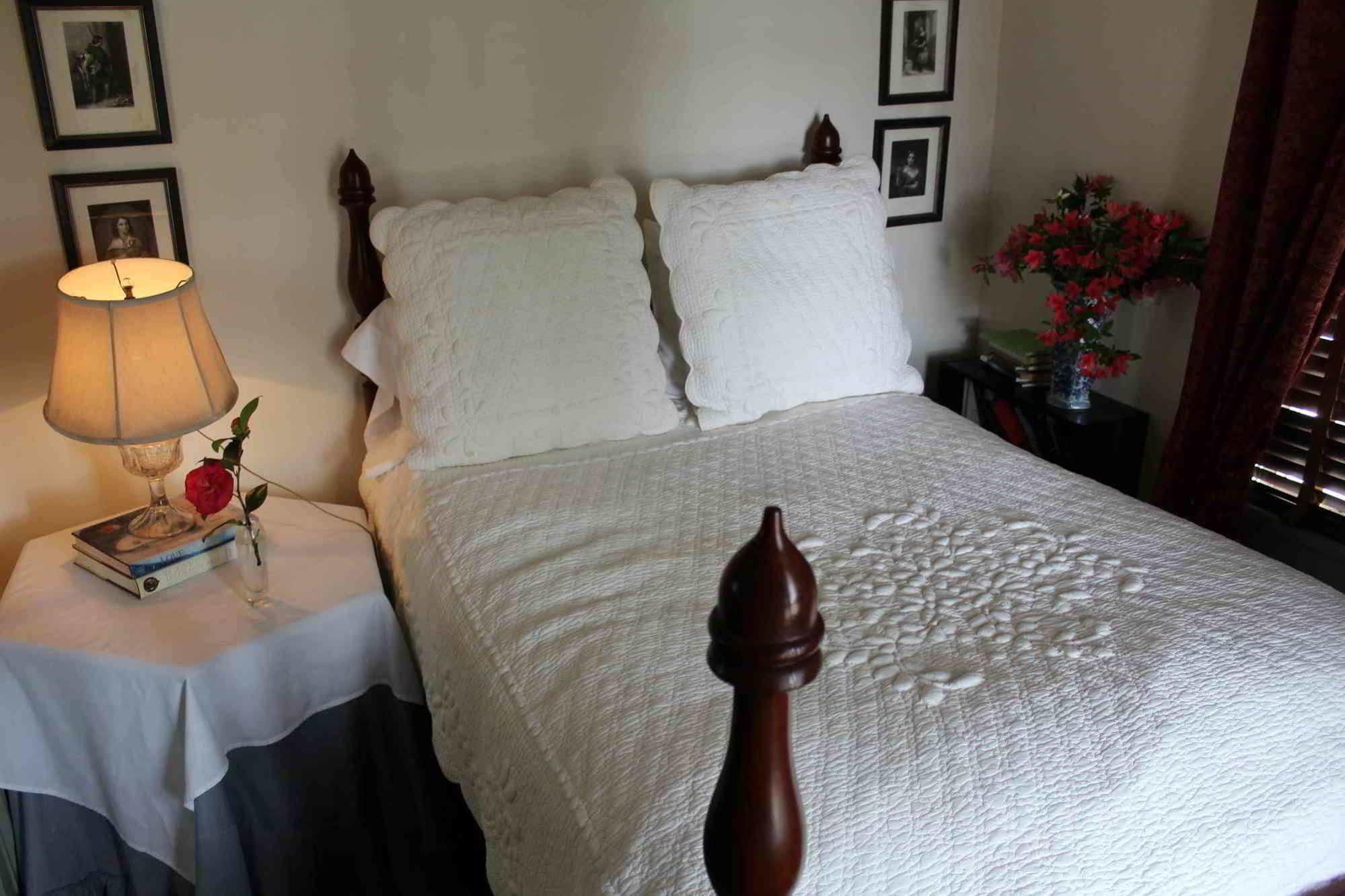 The Elms Bed And Breakfast ナチェズ エクステリア 写真