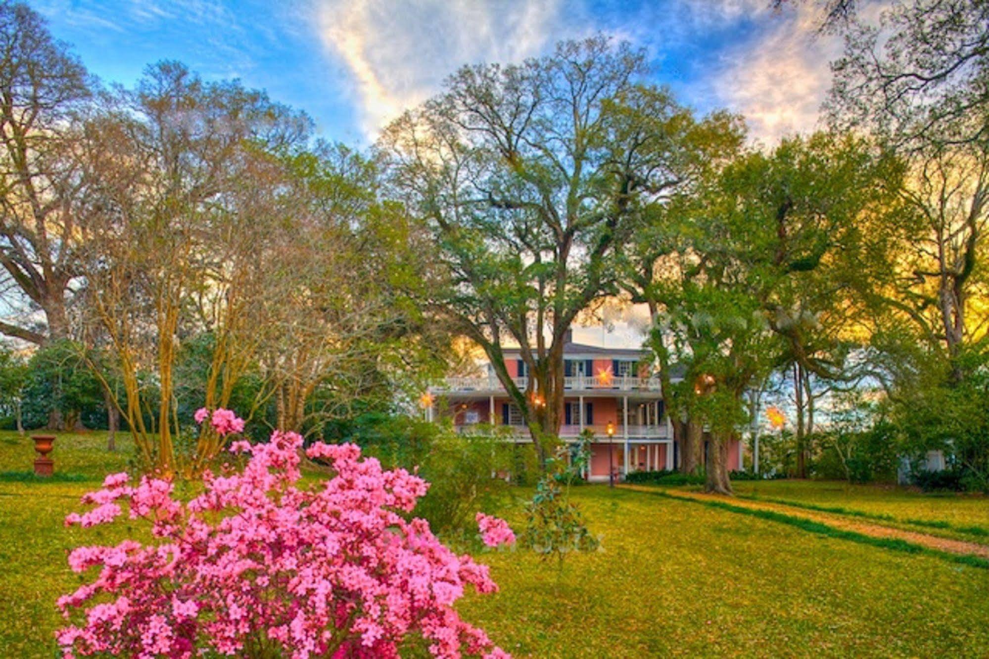 The Elms Bed And Breakfast ナチェズ エクステリア 写真