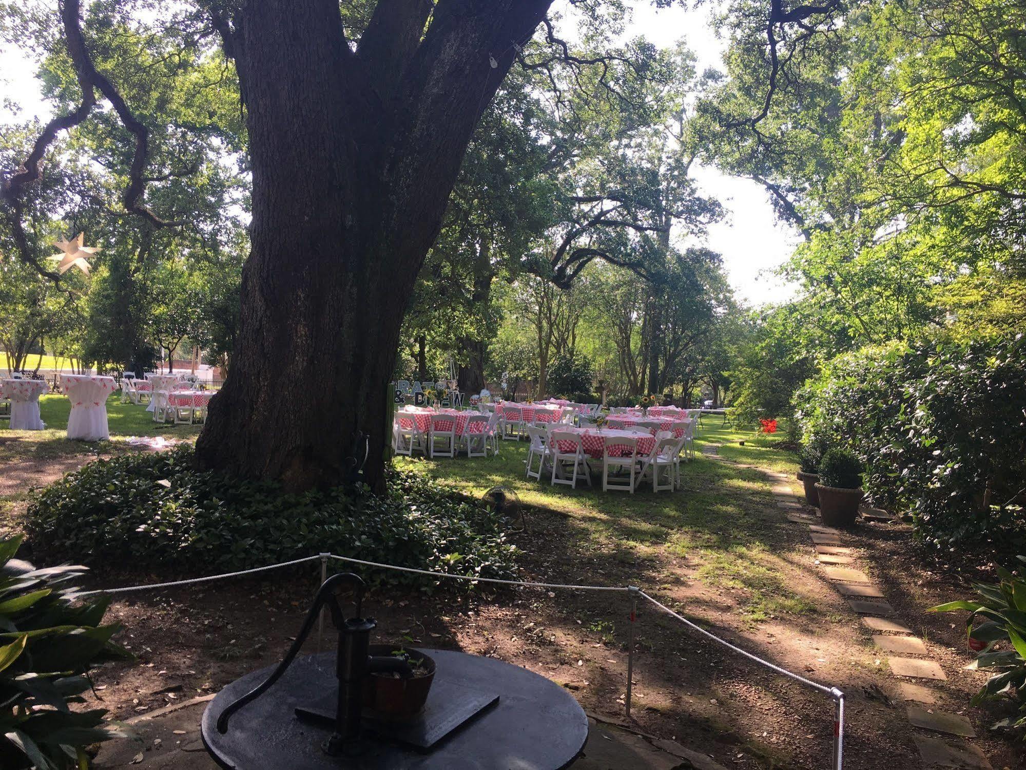The Elms Bed And Breakfast ナチェズ エクステリア 写真