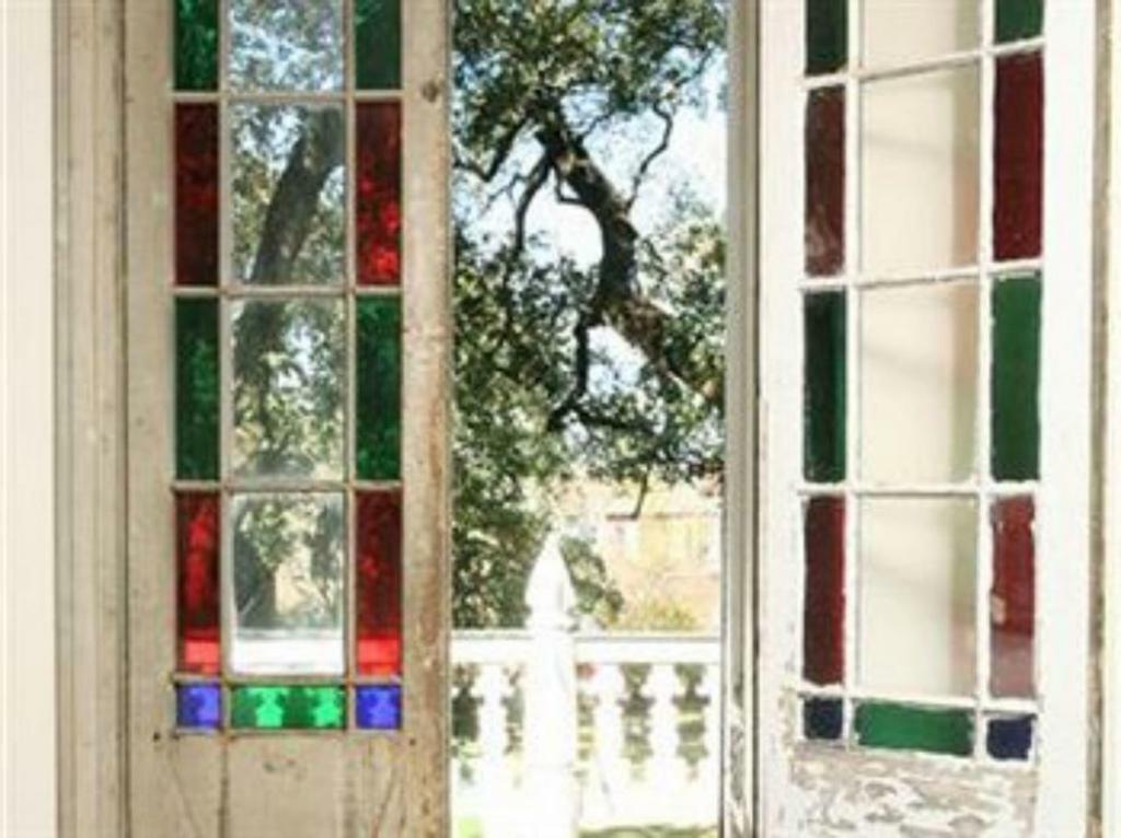 The Elms Bed And Breakfast ナチェズ エクステリア 写真